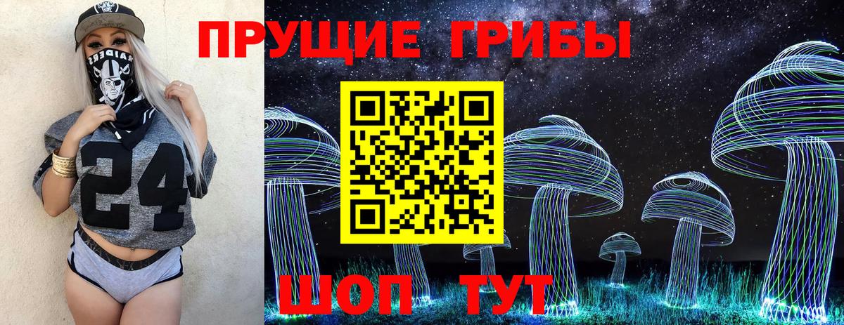 Галлюциногенные грибы GOLDEN TEACHER  Псилоцибиновые грибы Cubensis  Вход с VPN  Тара 