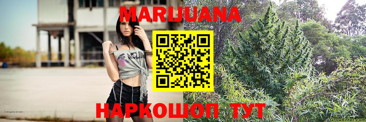 Конопля план  Бошки марихуана LSD WEED  Вход с VPN  Тара  МАРИХУАНА OG Kush 